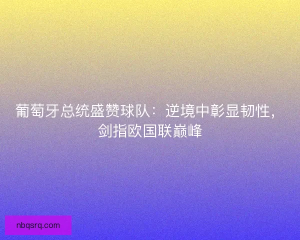 葡萄牙总统盛赞球队：逆境中彰显韧性，剑指欧国联巅峰