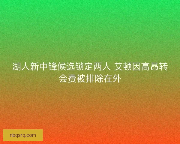 湖人新中锋候选锁定两人 艾顿因高昂转会费被排除在外